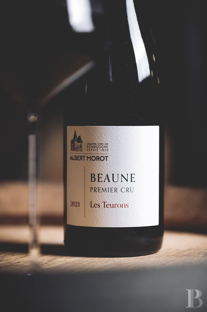 En Bourgogne, à Beaune, un château de la Belle Époque au milieu de ses huit hectares de vignes - photo  n°38